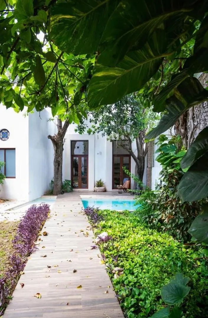 Loft 53 Apartment Merida Homestay